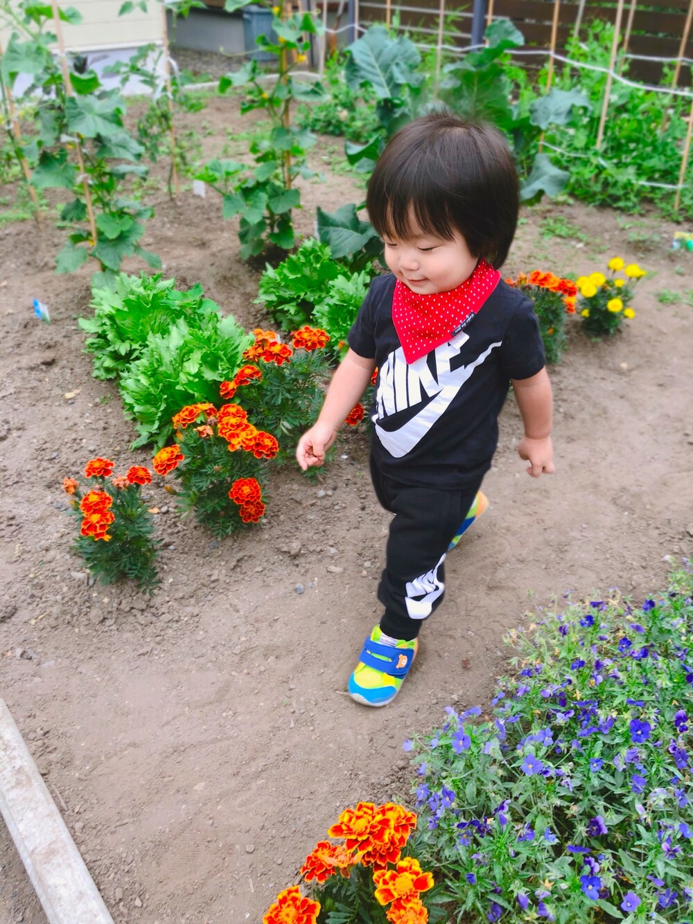 「カジュアルコーデ、男の子コーデ、ロゴT、赤ちゃん、一歳、1歳、NIKE、ホットビスケッツ、ミキハウス、夏だ！Tシャツ着よう！」｜「NIKEのアイテム（Tシャツ/カットソー、ブラック系）」を使った、haruwedさん（キッズ・74cm）の夏コーディネートの1枚目の写真