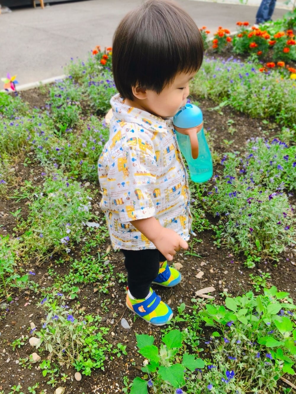 「赤ちゃん、男の子、お散歩♪、一歳、1歳、グローバルワーク(GLOBAL WORK)、UNIQLO、ホットビスケッツ、ミキハウス」｜「GLOBAL WORKのアイテム（シャツ/ブラウス、ホワイト系）」を使った、haruwedさん（キッズ・90cm）の夏コーディネートの1枚目の写真