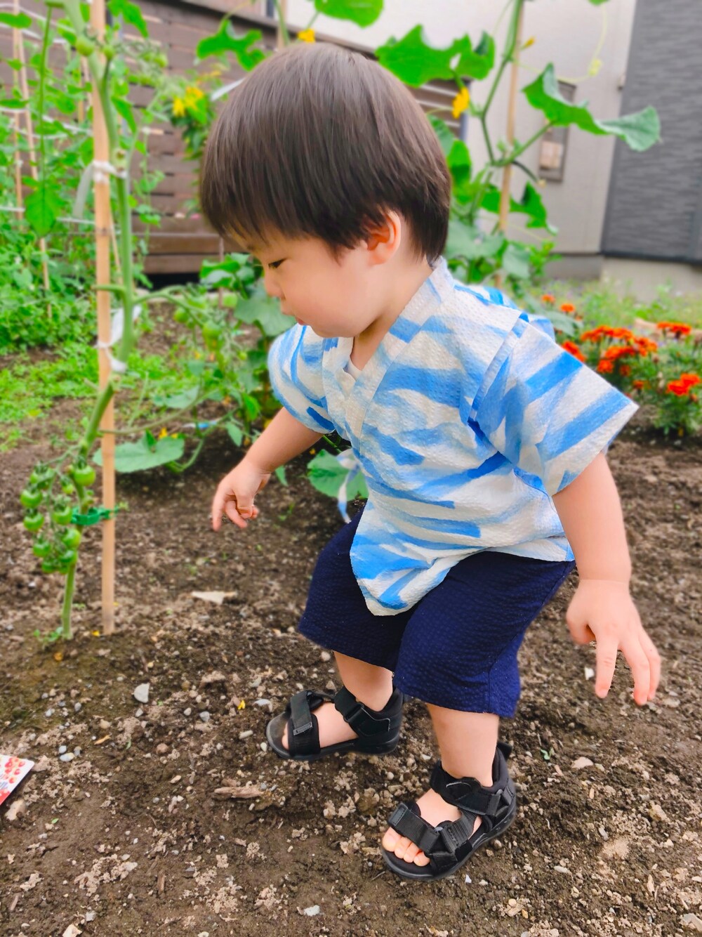 「夏、甚平、男の子、1歳、一歳、西松屋、スポサン、ブリーズ、お散歩♪」｜「BREEZEのアイテム（水着/着物・浴衣、ブルー系）」を使った、haruwedさん（キッズ・90cm）の夏コーディネートの1枚目の写真