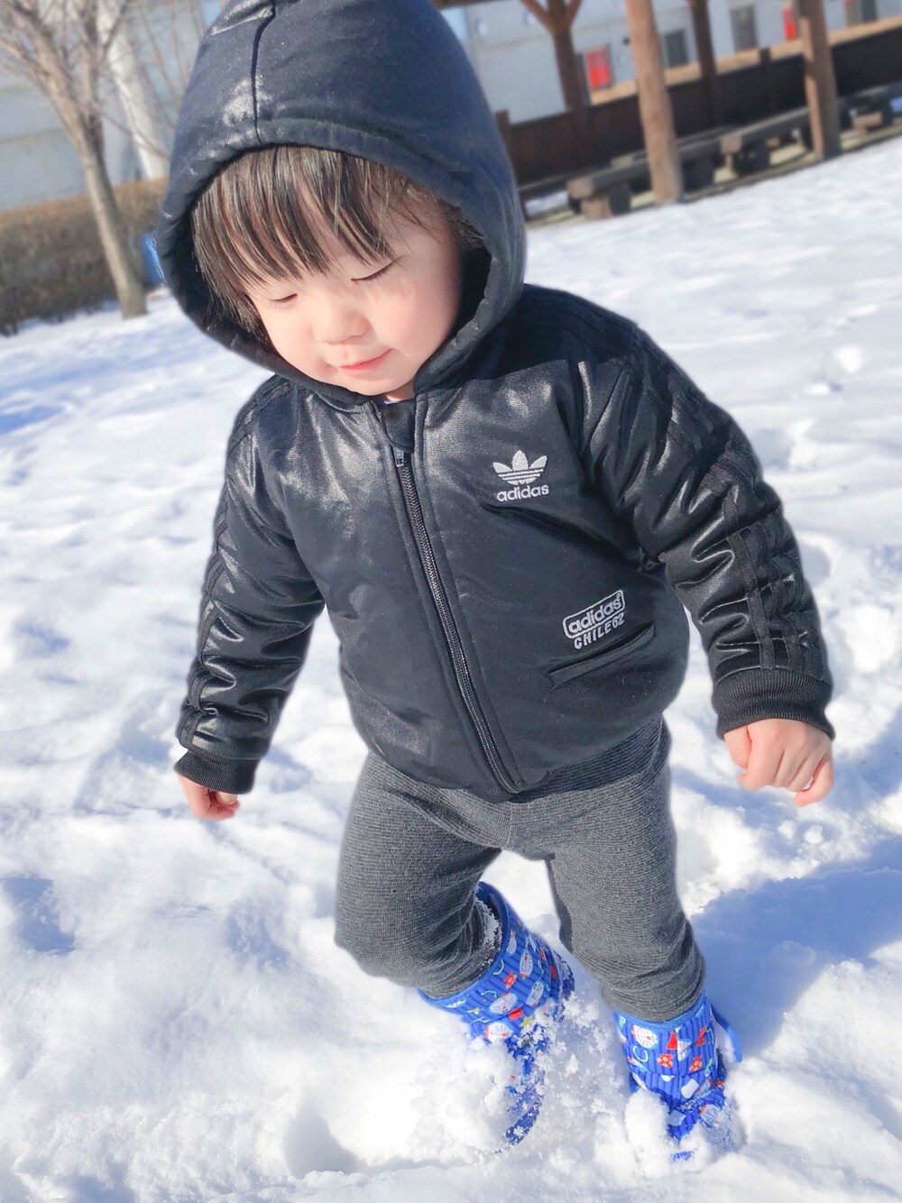 「2歳、アディダスオリジナルス、ゆきあそび、スノーブーツ、しまむら、西松屋、おとこのこ、お散歩♪」｜「adidasのアイテム（ジャケット/アウター、ブラック系）」を使った、haruwedさん（キッズ・90cm）の冬コーディネートの1枚目の写真