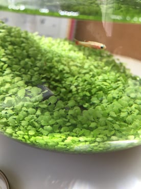 栞さんのコーディネート