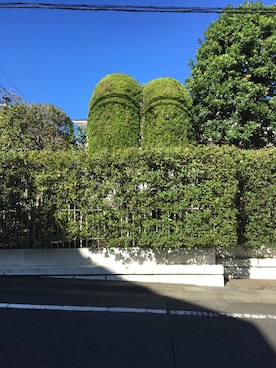 栞さんのコーディネート