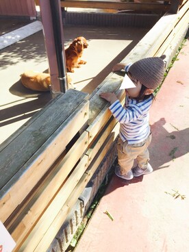 Shieさんのコーディネート