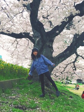 ななさんのコーディネート