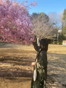 糖さんのコーディネート