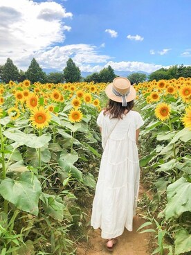 STYLEDOORさん（レディース・161cm）の夏コーディネート