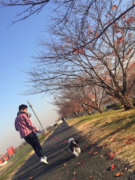 yu-tkさんのコーディネート