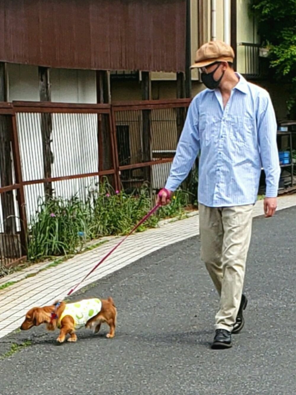「オトナカジュアル、春夏コーデ、大人コーデ、シャツスタイル、犬、犬服、ストライプ、ブーツ、ジャラーナ、アメカジ」｜「EFFECTORのアイテム（メガネ、ブラック系）」を使った、pu1004さん（メンズ・176cm）の春コーディネートの1枚目の写真