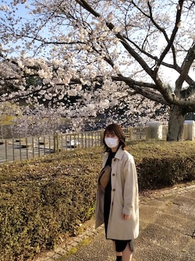 Nariseさん（レディース・152cm）の春コーディネート