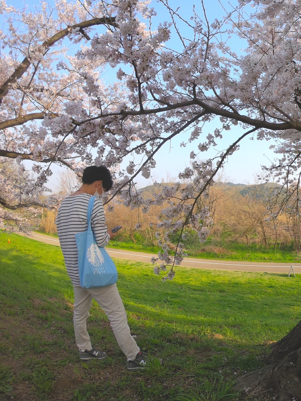 「桜」｜「GLOBAL WORKのボーダーバスクTee/930513（Tシャツ/カットソー、ホワイト系）」を使った、わい氏さん（メンズ・158cm）の春コーディネートの1枚目の写真
