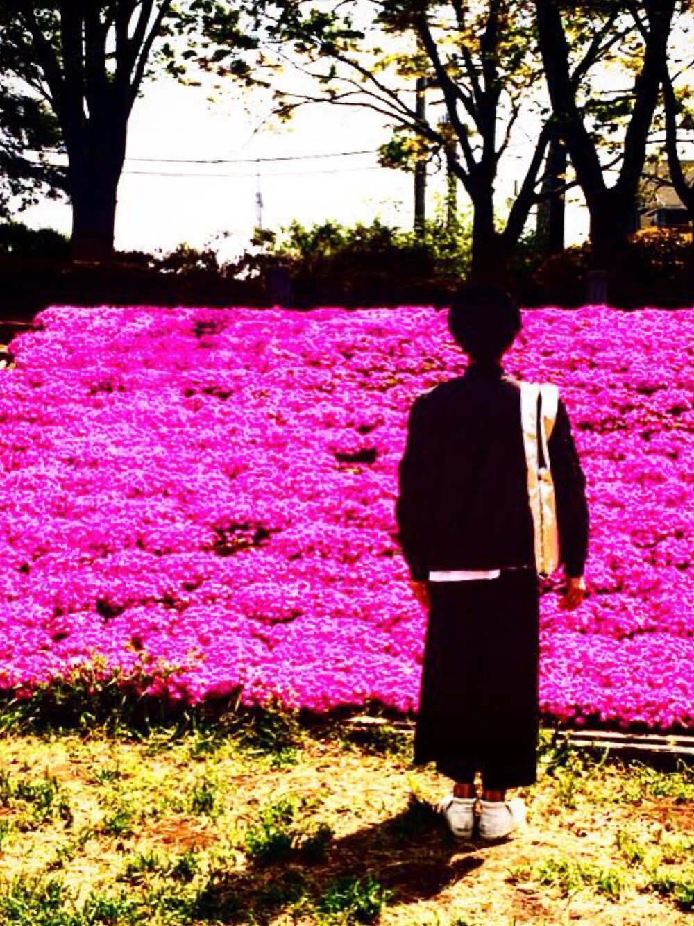 ホワイト系のスウェット、ブラック系のブルゾン、ブラック系のその他パンツを着用したメンズの春コーディネートの1枚目の写真