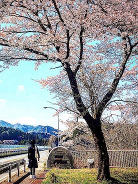 藤枝蘭丸さん（メンズ・175cm）の春コーディネート