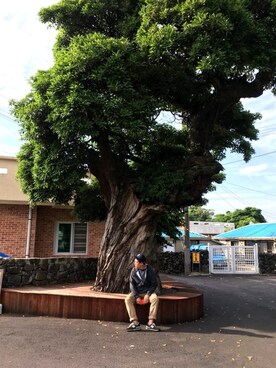 skarudals1さんのコーディネート