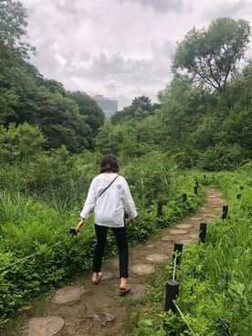 まこさんのコーディネート