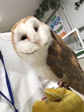 あぷらいさんのコーディネート