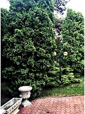 sara gecziさんのコーディネート