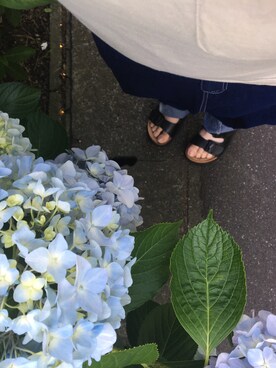 ｓａｙａさん（レディース・156cm）の夏コーディネート