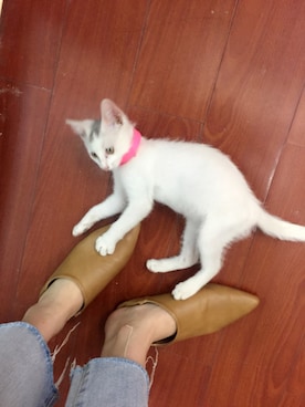 成熟大气粲さんのコーディネート