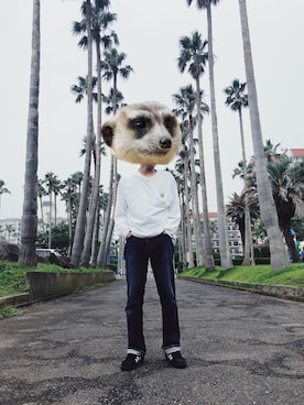 tsubattoさんのコーディネート