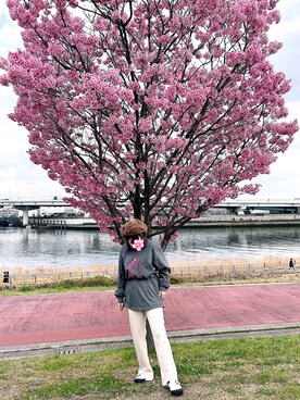 miさんのコーディネート