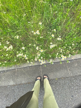 ちぇるこさんのコーディネート