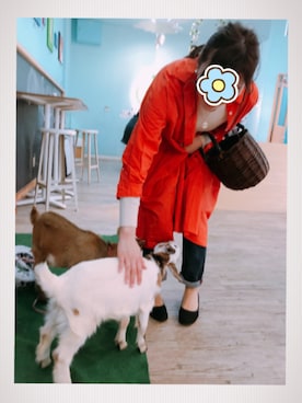 さとうさんのコーディネート