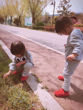 lovelyseaさんのコーディネート