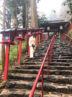 「Dr. Martens（ドクターマーチン）のDr.Martens / ドクターマーチン 1461 3EYE GIBSON SHOE 3ホール ギブソン シューズ ブーツ（ブーツ）」を使った、みいさん（レディース・157cm）の冬コーディネート