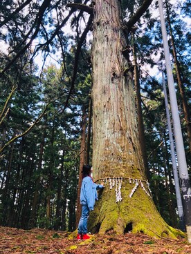 いぐさんのコーディネート