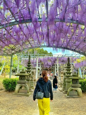 risu222risuさんのコーディネート