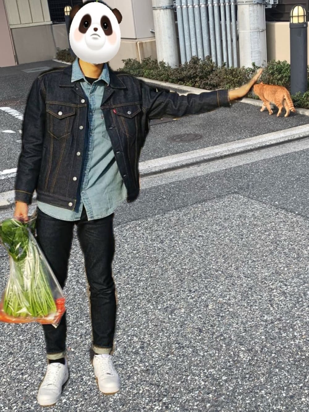 Levi's デニムジャケット RIGID TWO Levi's/リーバイス LEVI'S(R) VINTAGE CLOTHING 1953モデル TYPE