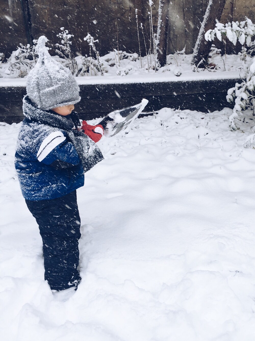 「winter、winter wearing、kids、warm、snow、carter's」｜「TOMMY HILFIGERのアイテム（その他パンツ、ブルー系）」を使った、jjeeさん（キッズ・31cm）の春コーディネートの1枚目の写真