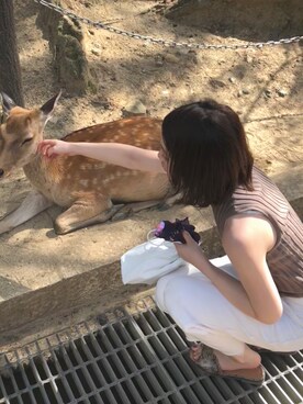 akihaさんのコーディネート