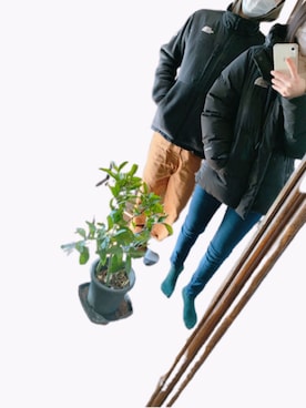 wwwmiyabiさん（レディース・159cm）の冬コーディネート