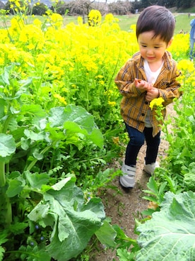 SHUNKIさん（キッズ・90cm）の春コーディネート