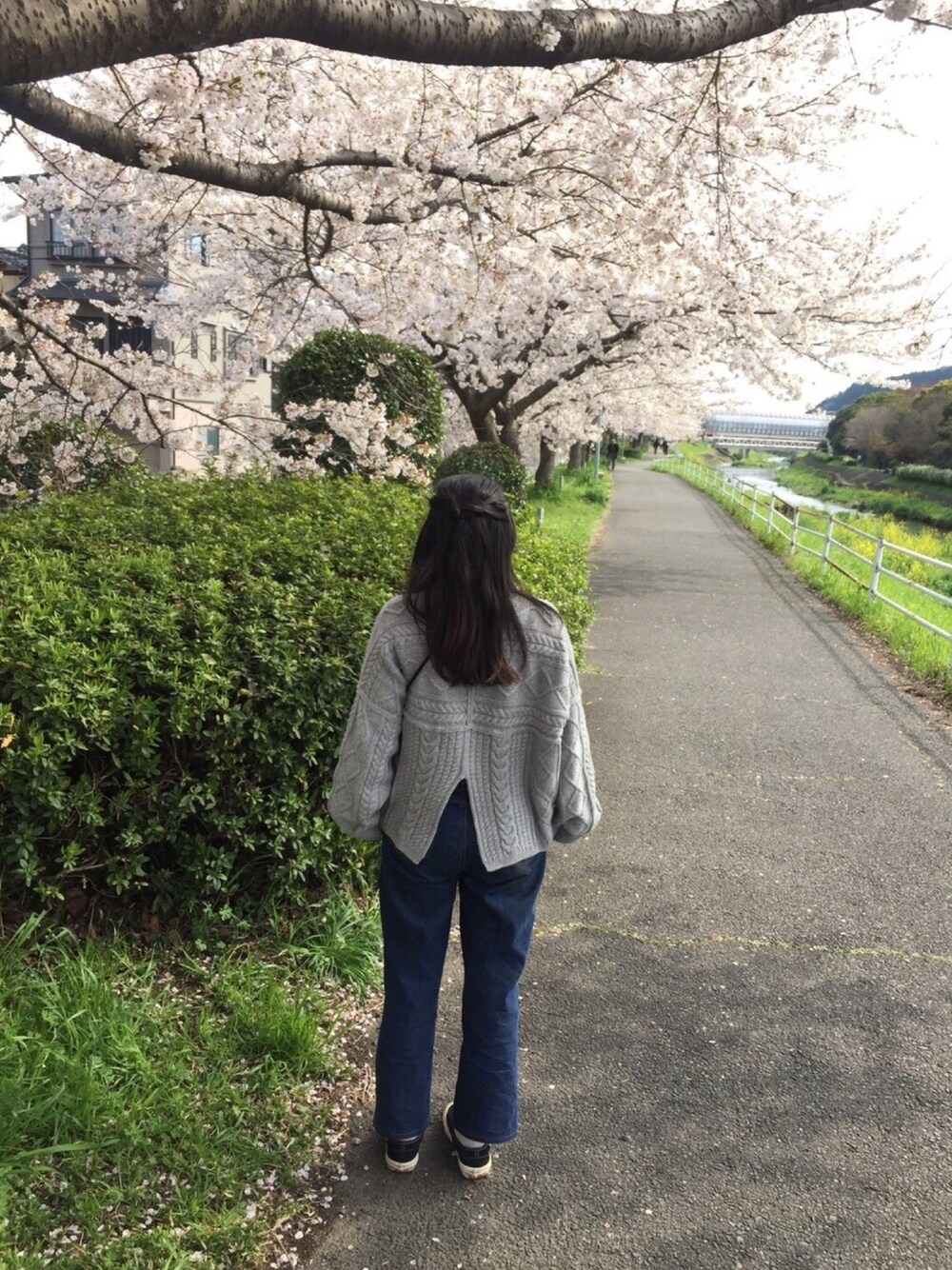 「KBF、ローリーズファーム(LOWRYS FARM)、VANS、スリッポン、ベルクロ、シンプルコーデ、スニーカーコーデ、低身長、はるコーデ、おしゃれさんと繋がりたい」｜「KBFのアイテム（ニット/セーター、グレー系）」を使った、みんごさん（レディース・150cm）の春コーディネートの1枚目の写真