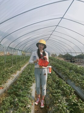 开口的板栗さんのコーディネート