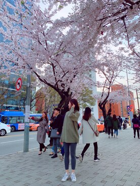 AnnAさんのコーディネート