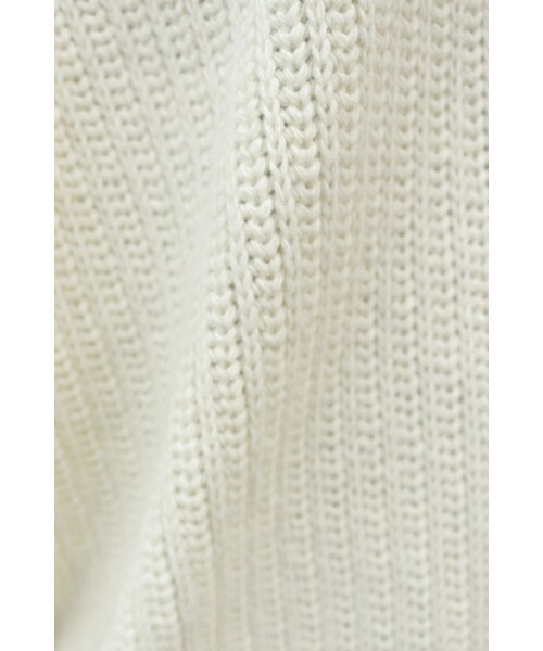SLOBE IENA ヒキアゲガラＶネックニットプルオーバー SLOBE IENA（スローブイエナ）の「《追加予約》ヒキアゲガラVネック