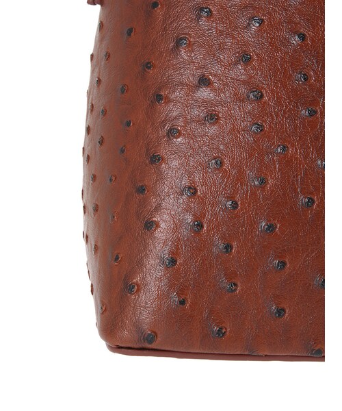 EVRIS（エヴリス）の「オーストリッチＢＡＧ（バッグ・レディース・ブラック/ブラウン・F）」の11枚目の写真