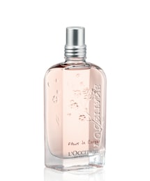 【専用どうどゅす様】L'Occitane Absolu Sienne 75ml ☆超目玉】 専用どうどゅす様】L'Occitane Absolu Sienne 75ml