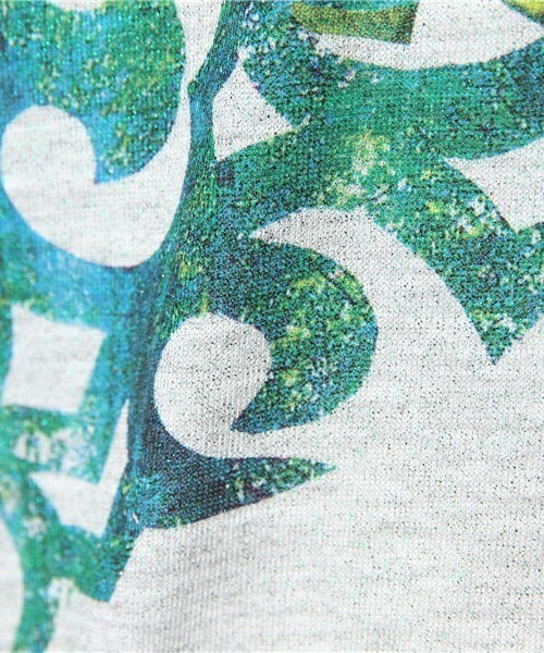 FRAPBOIS(フラボア)の「ラメフォレスT(Tシャツ/カットソー・メンズ・グリーン/ゴールド・0/1/2)」の9枚目の写真