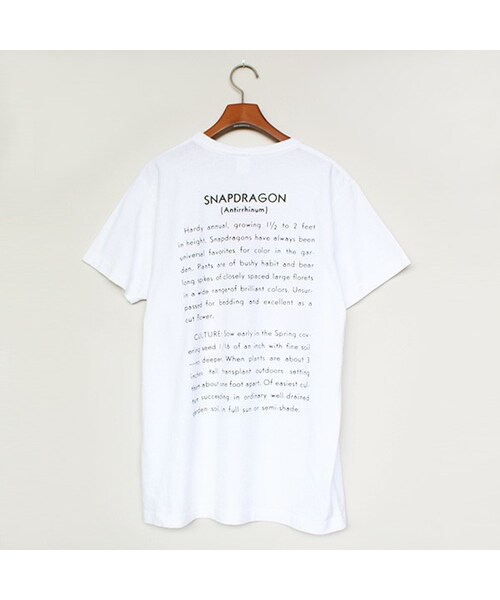 niche.（ニッチ）の「Flower Seeds Tshirts（VRTY）（）」 WEAR