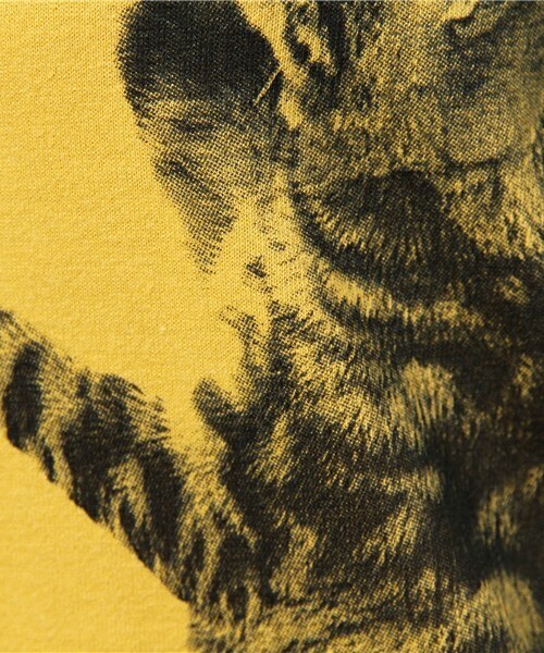 FRAPBOIS（フラボア）の「セタリアT（Tシャツ/カットソー・レディース・ホワイト/ブルー/イエロー・1/2）」の11枚目の写真