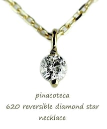 pinacoteca | ピナコテーカ 620 2点留 一粒ダイヤモンド 裏 スター ネックレス 0.05ct(ネックレス)