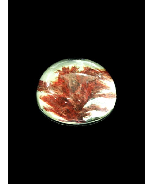 H.P.DECO（エイチ・ピー・デコ）の「JOHN DERIAN ドーム型ペーパーウェイト（）」 WEAR