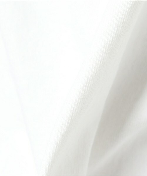 Champion(チャンピオン)の「T1011 US T SHIRT C5-P301(Tシャツ/カットソー・メンズ・ホワイト/ブラック/グレー/ブルー/ネイビー・SMALL/LARGE/X-LARGE/MEDIUM)」の10枚目の写真