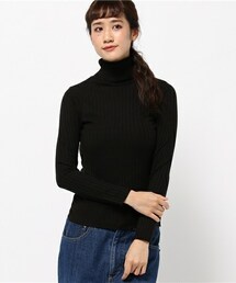 INTERPLANET | ソリストヒート太リブタートル(ニット/セーター)