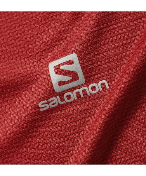 SALOMON（サロモン）の「Salomon Agile Mesh-Trimmed AdvancedSkin ActiveDry T-Shirt（Tシャツ/カットソー・メンズ・Red・M/L/XL/XXL）」の5枚目の写真