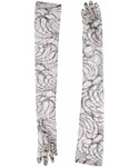 DRIES VAN NOTEN（ドリスヴァンノッテン）の「DRIES VAN NOTEN